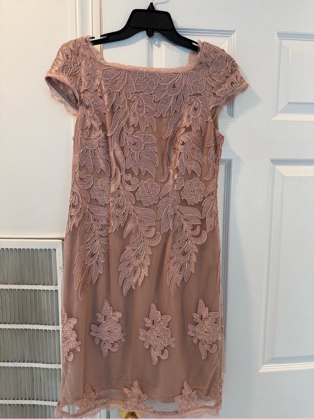Adrianna Appel Lace Overlay Women's Dress in Dusty Rose Sz 8